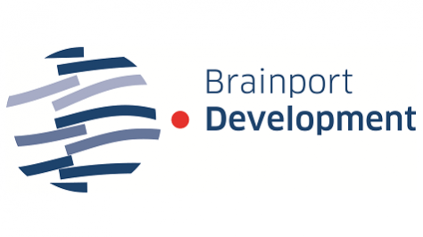 Brainport development