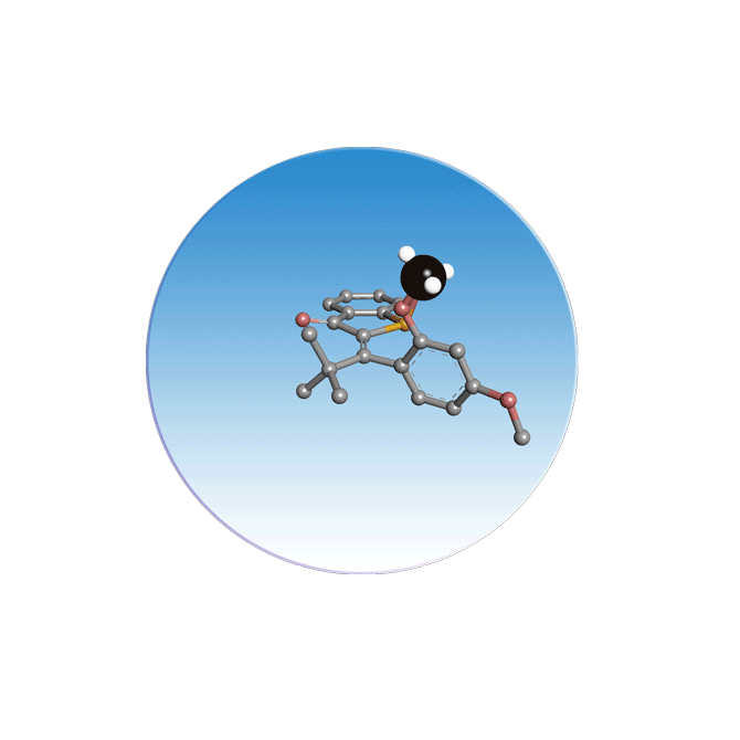 Molekularer Motor für Nanotechnologie - LMU