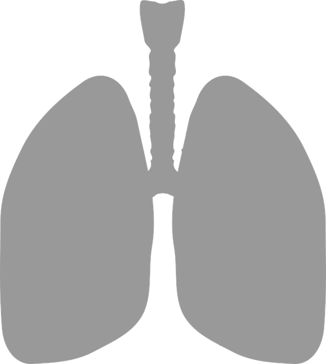 lungs-306032_960_720