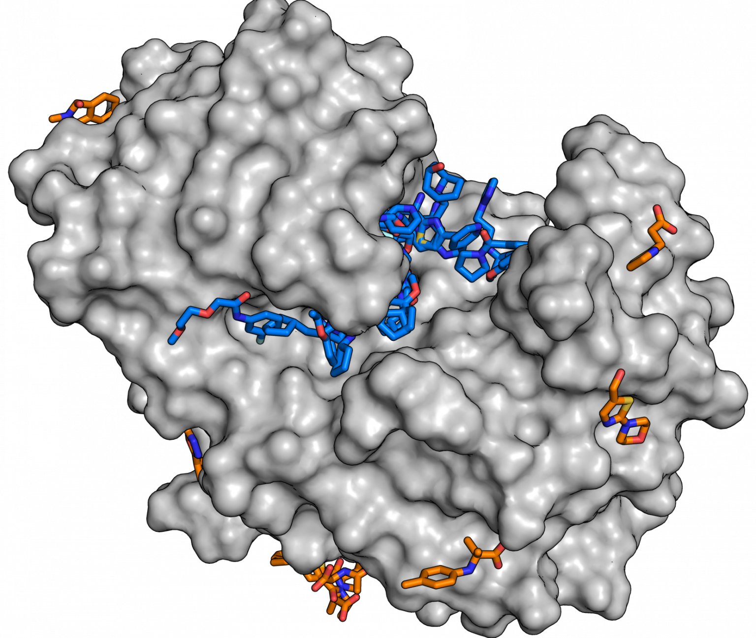 Active substance. Spectra New substance. Substance Bioorganic. B12 substance PNG. Karibow Holophinium the fragments.