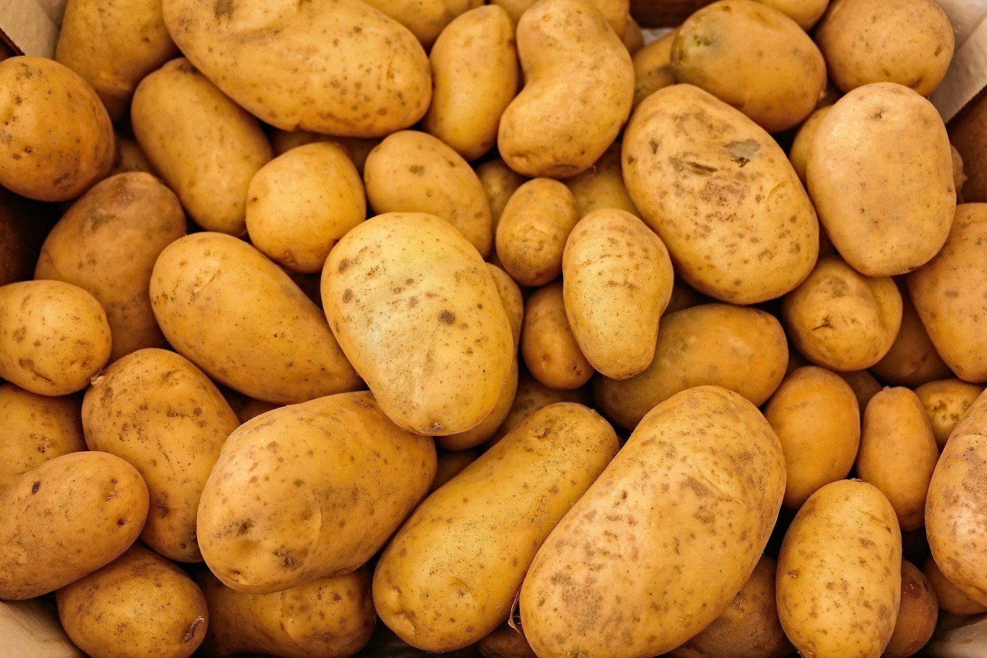 potatoes aardappelen