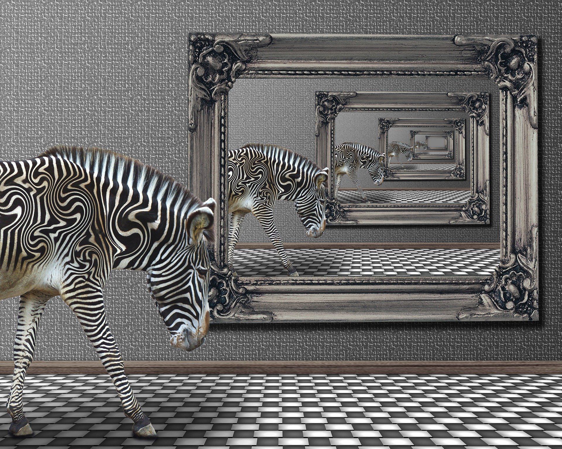 zebra-1332743_1920