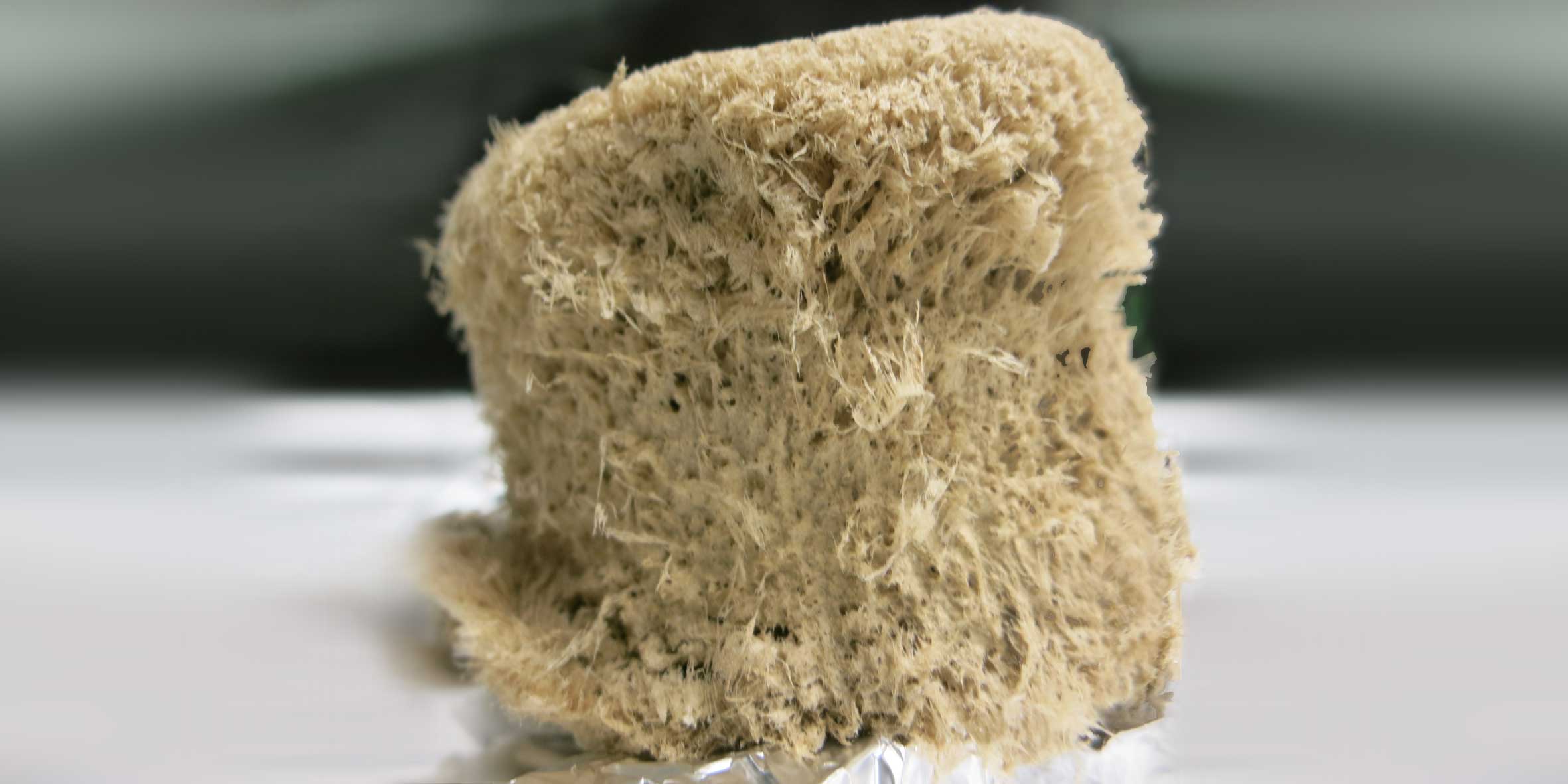 Instead of plastic: Biodegradable materials made from wood components