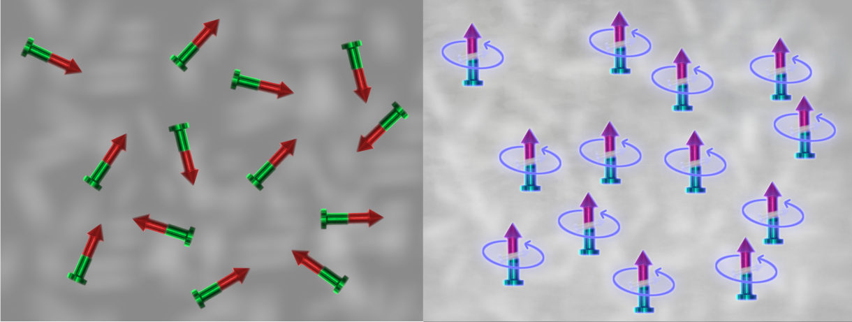 Programming interaction between quantum magnets - Innovation Origins