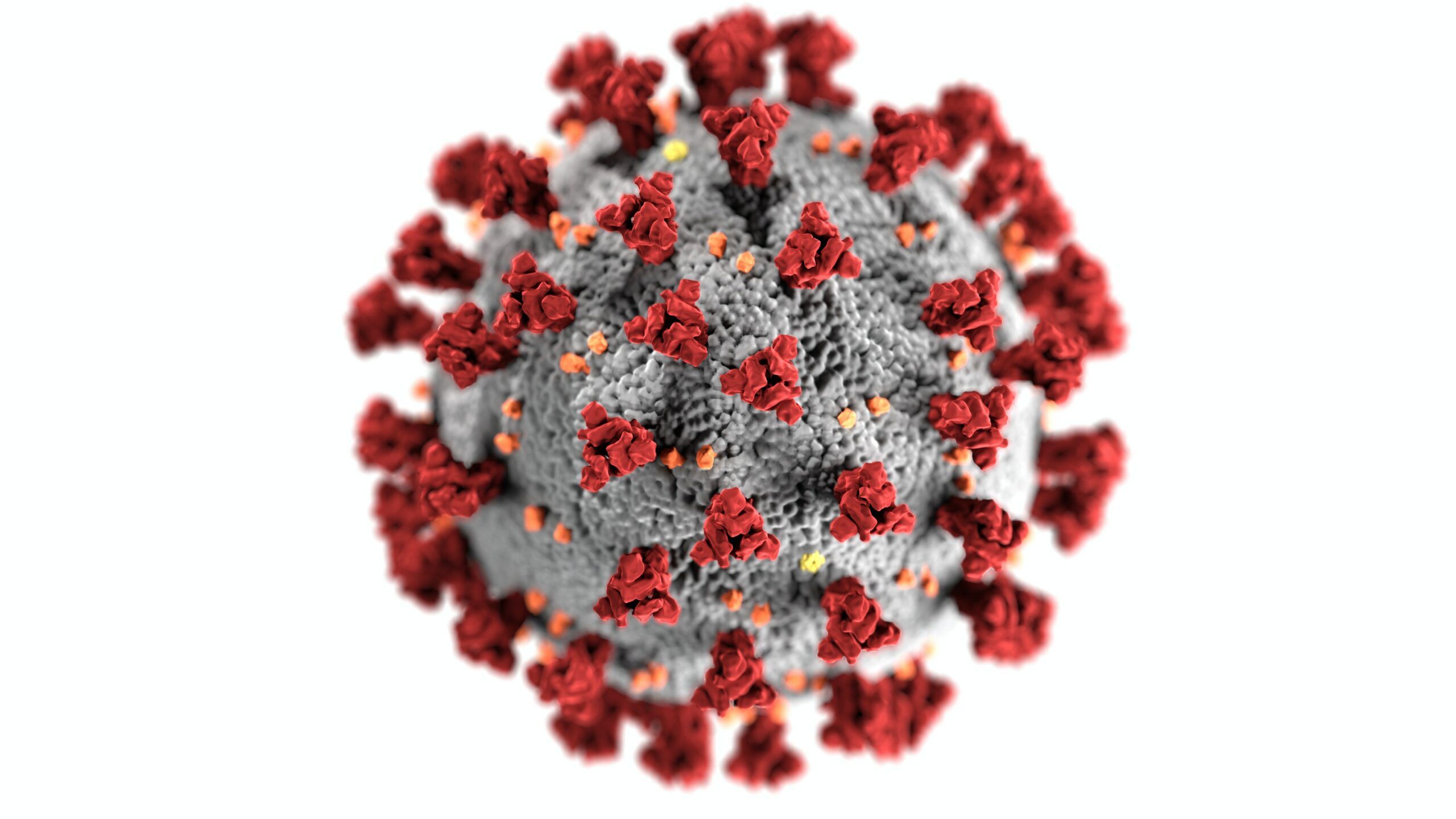 red corona virus graphic