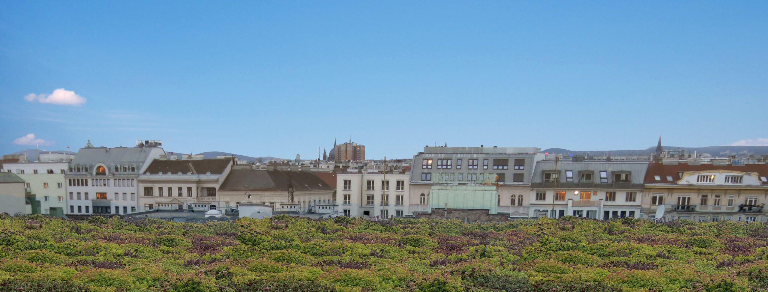 Improving the quality of life in cities with green roofs