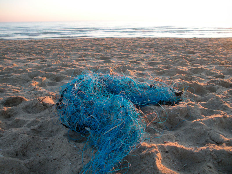 Dolly ropes, part of a fishing net, washed up onto a beach