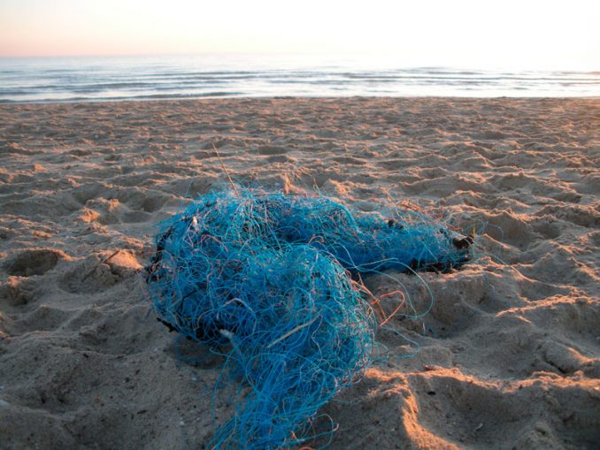 Dolly ropes, part of a fishing net, washed up onto a beach