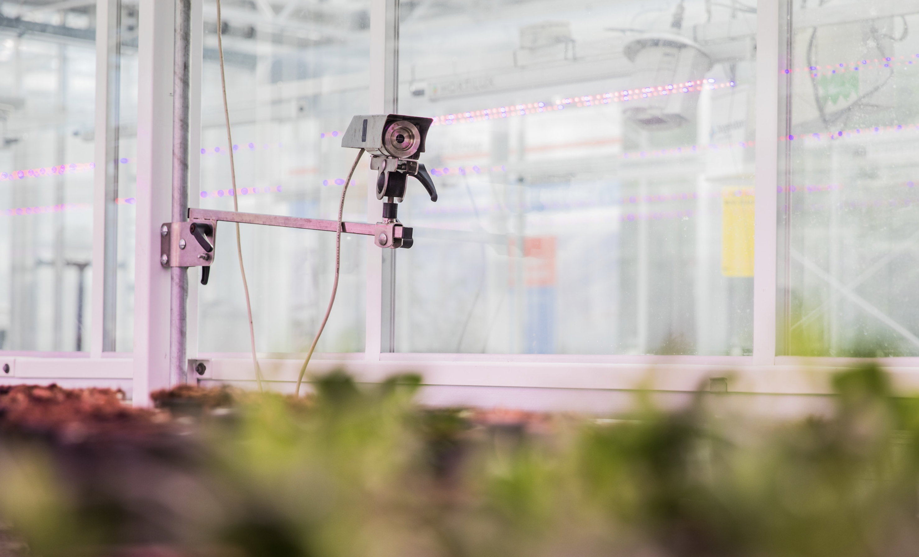 We use cobots to make our vegetable greenhouses more and more 'hands-free'