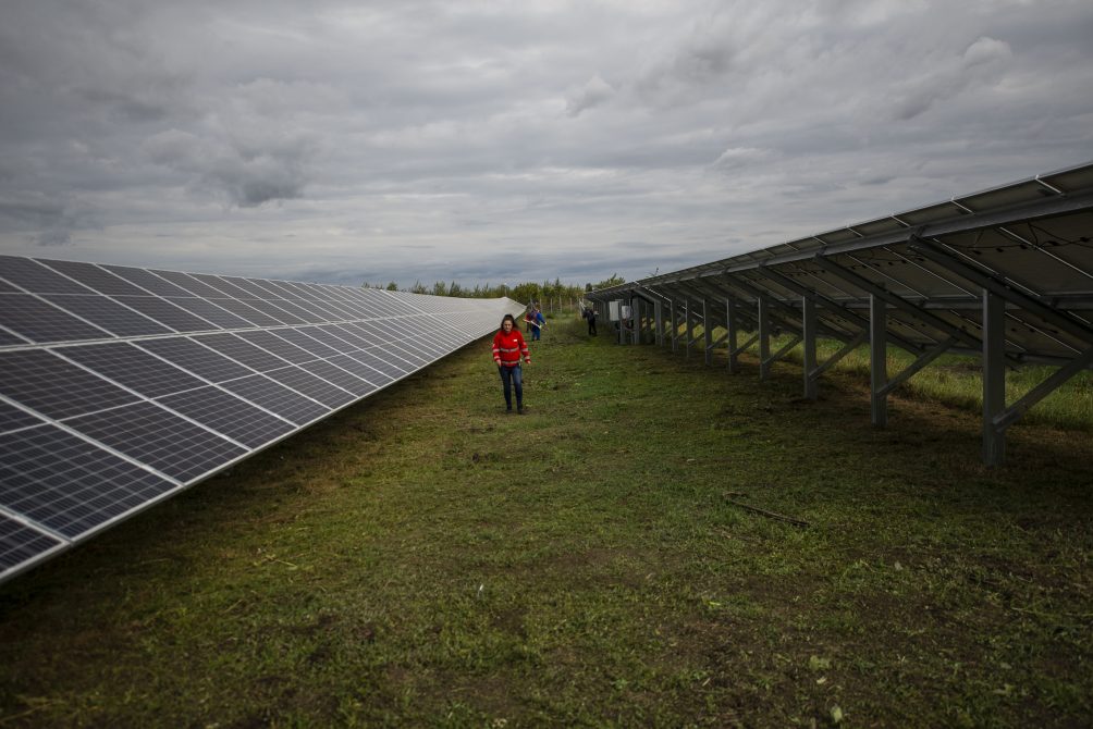 social worker walks between solar panels