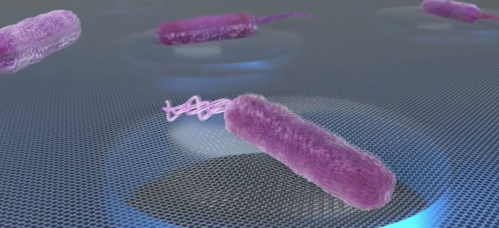 Bacterial soundtracks revealed by graphene membrane