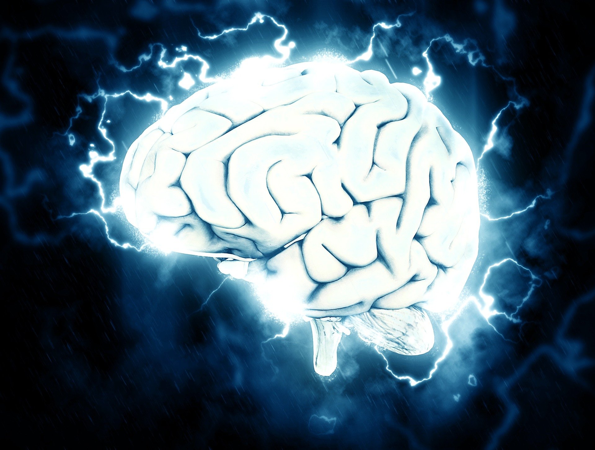 Nieuw onderzoek wijst uit: er is een duidelijke relatie tussen hersenvorm en hersenactiviteit