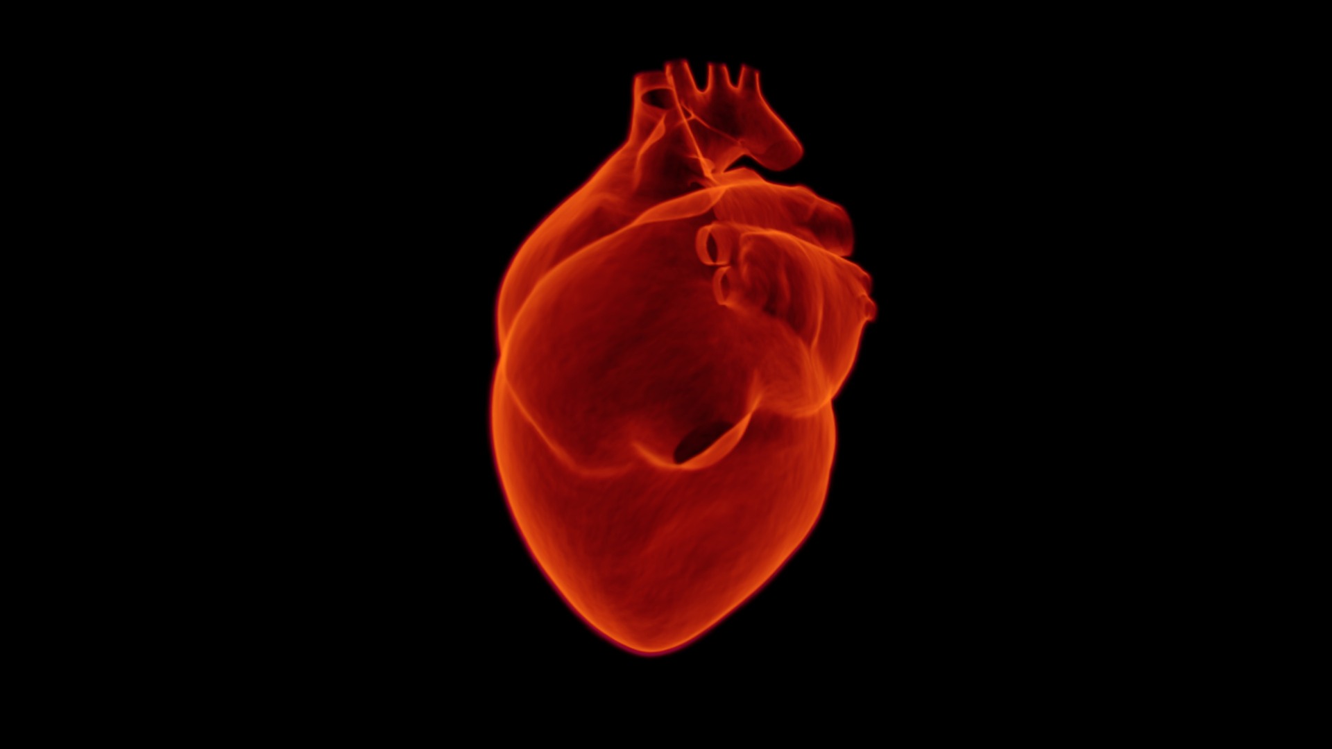 €4.5 million for HeartBeat.bio: Innovating heart disease drug discovery with animal-free testing