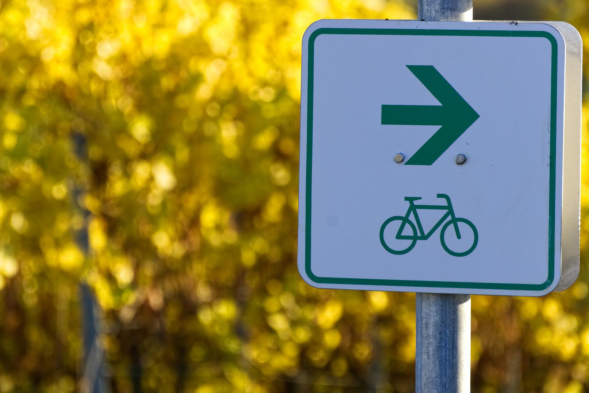 bicycle-path-3862341_1920