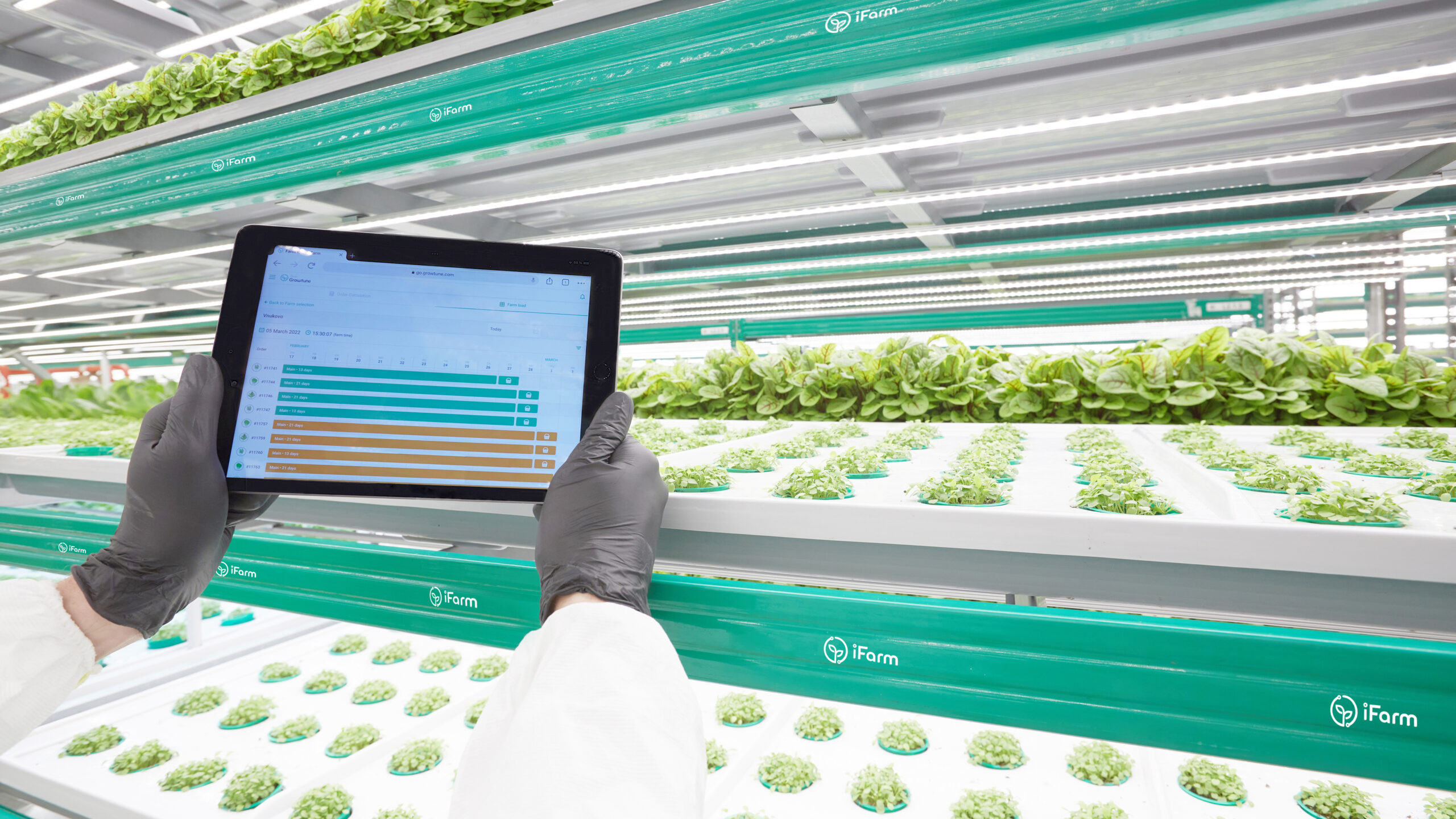 Start-up iFarm brings indoor farming to the different corners of the world