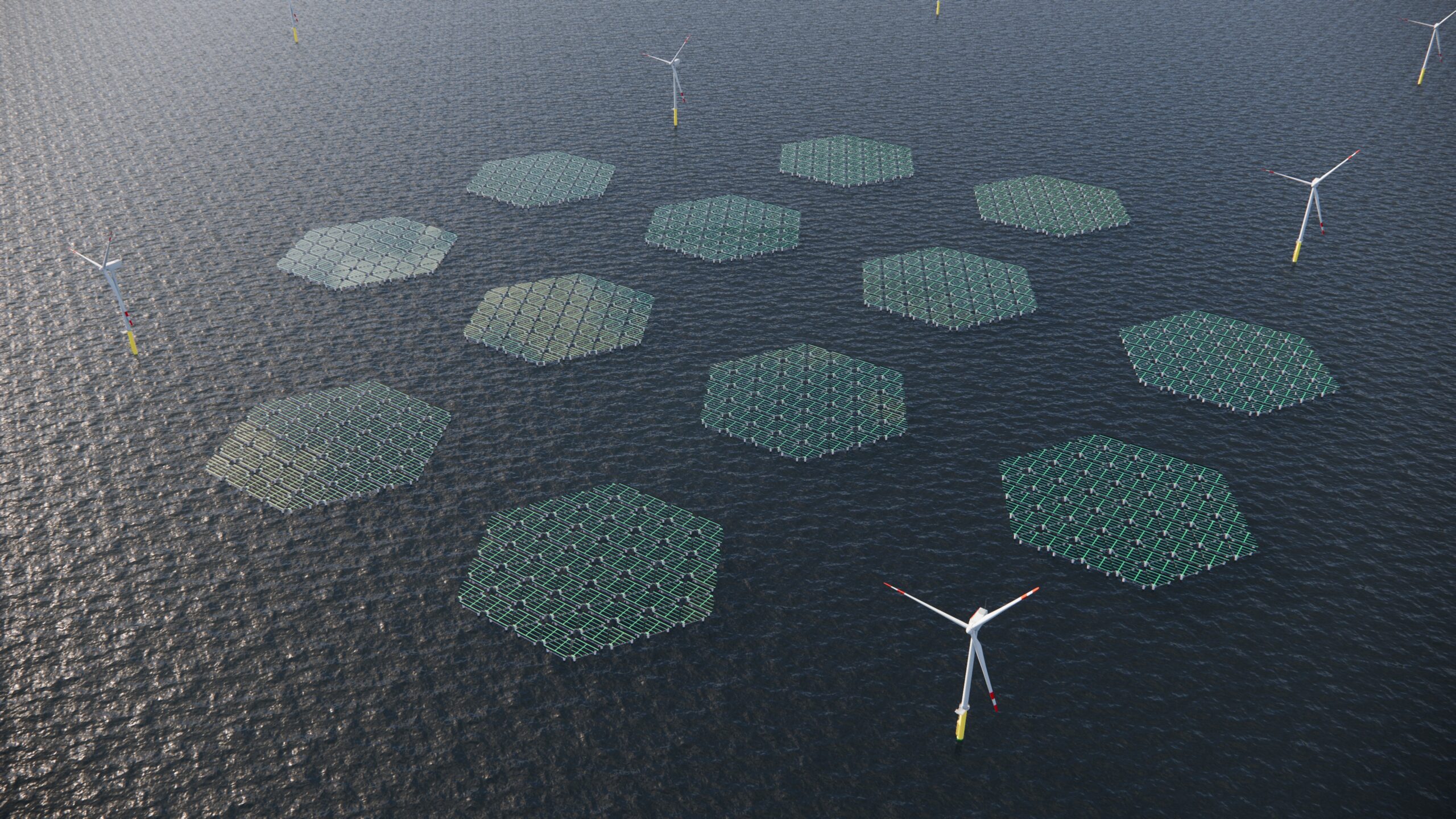 Floating solar farm in the North Sea to accelerate energy transition