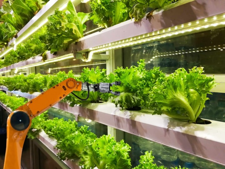Indoor farming and the pink elephant