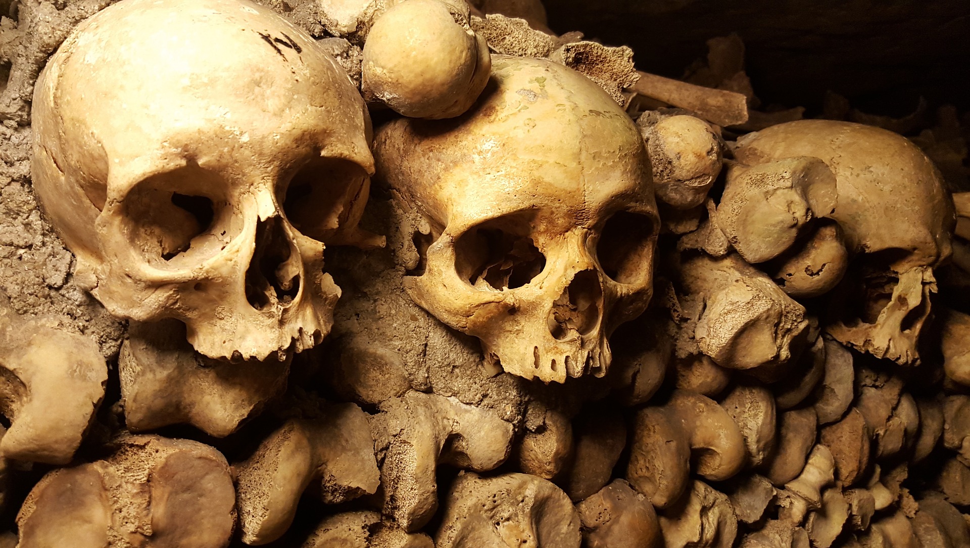 Revolutionaire AI-technologie kan tot 10.000 jaar oude menselijke resten dateren