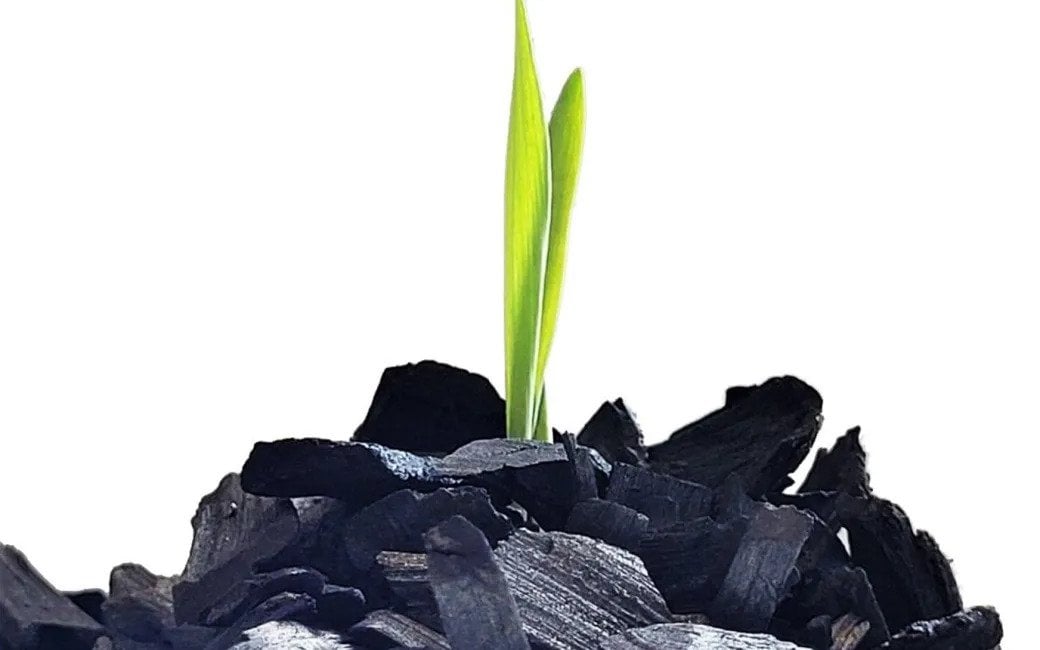 Biochar can mitigate the environmental impacts of agriculture