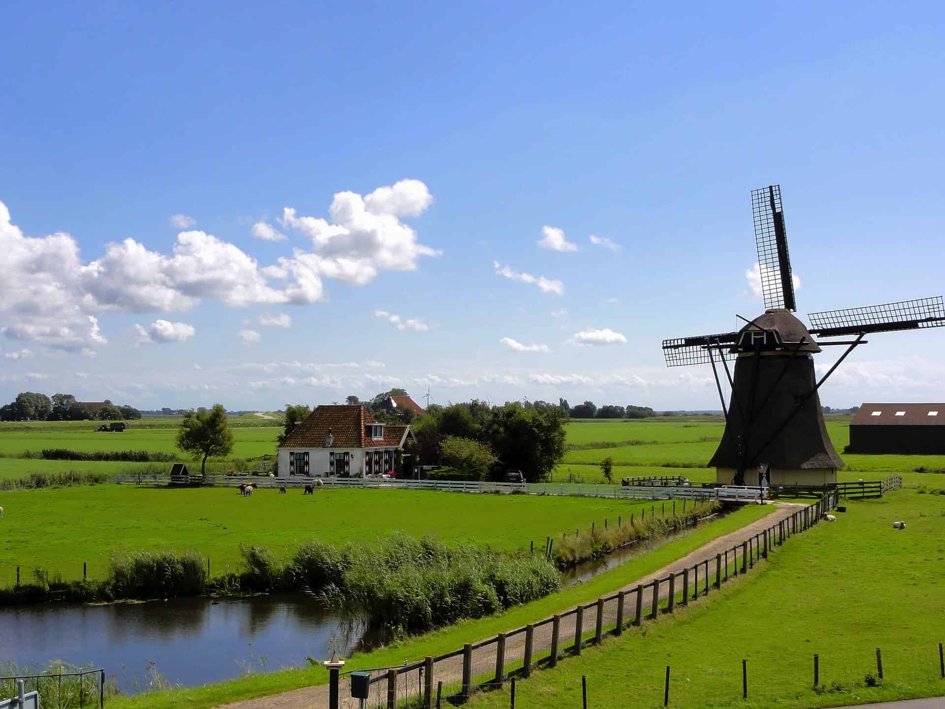 Dutch farmers in Groningen will start producing their own green hydrogen 