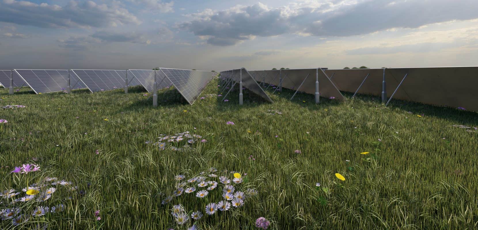 Thousands of Groningers soon to be supplied with heat from solar thermal park - 'Groningen on the cutting edge'
