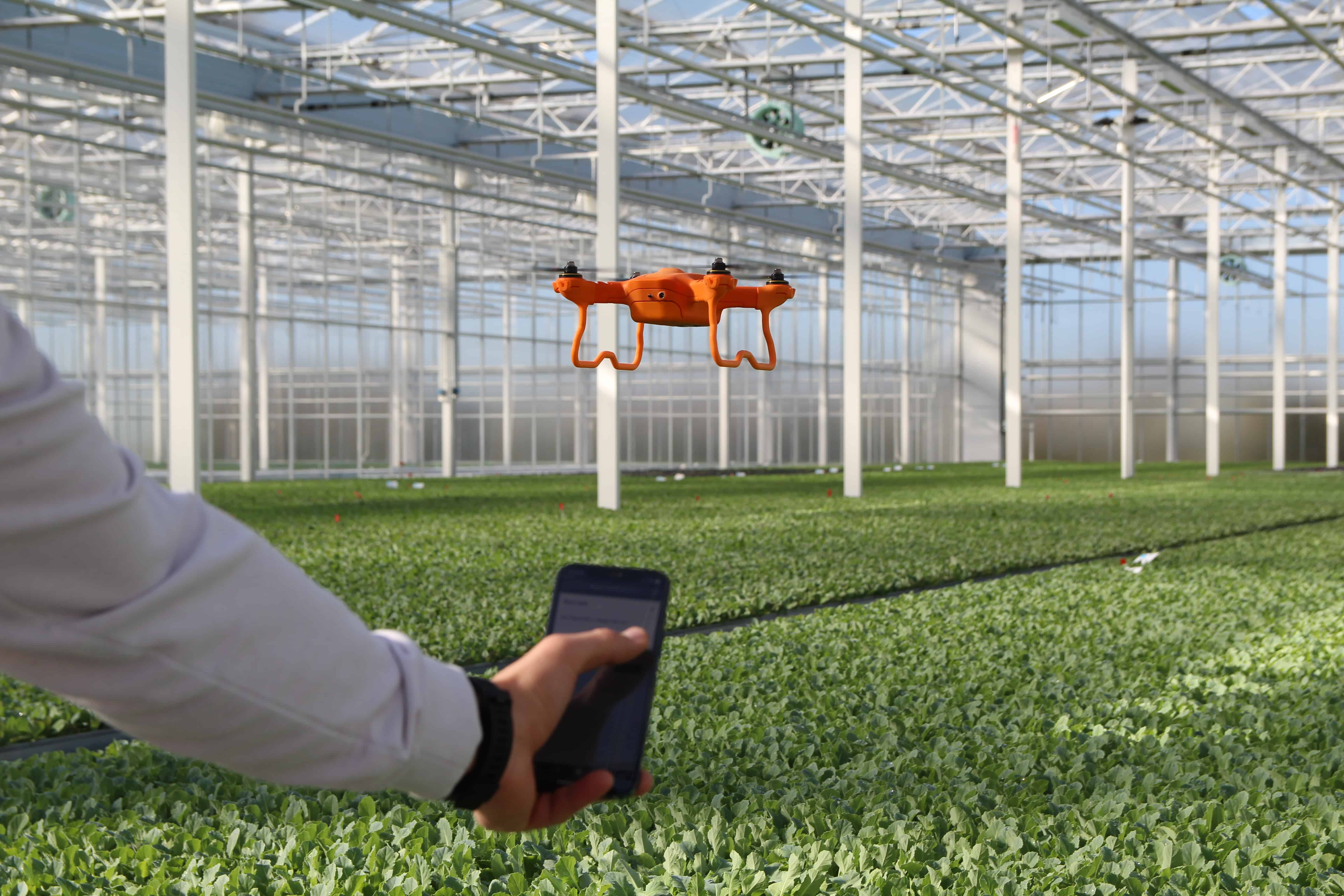 Autonome drone ziet planten in de kas groeien