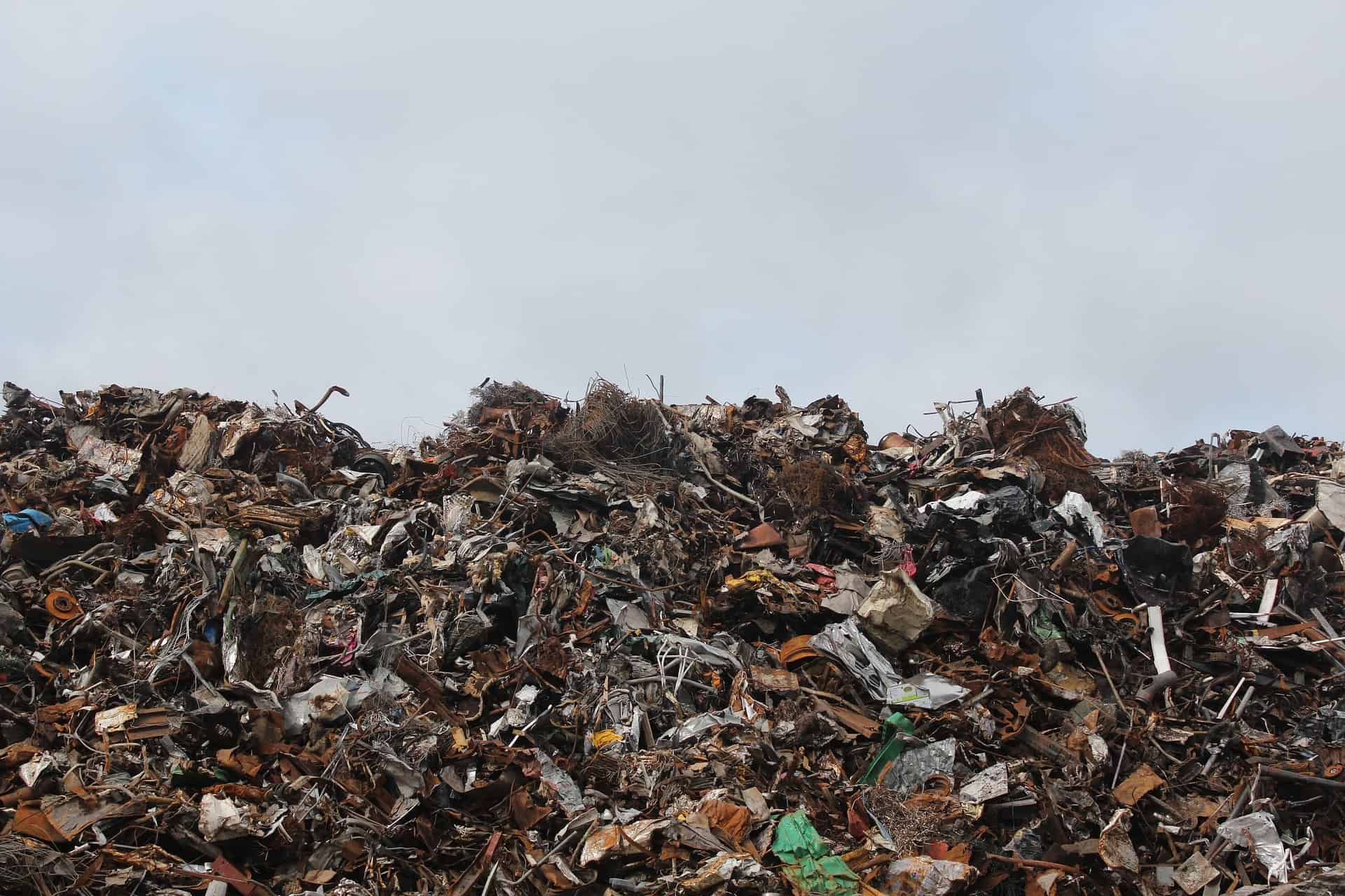 <strong>Innovative waste processing yields an increasing number of remarkable products</strong>