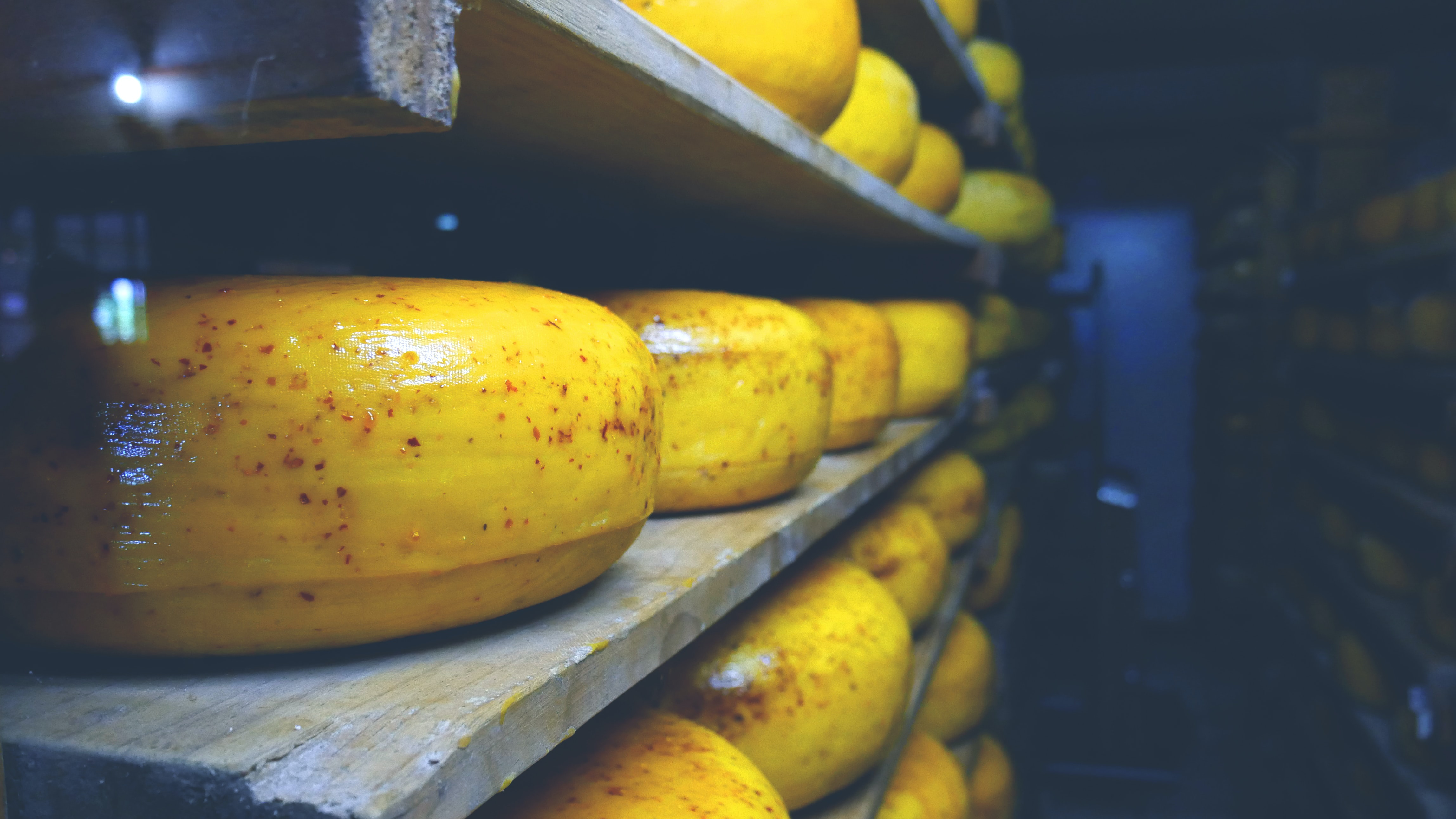 Cheese needs to be more sustainable - here are three innovations to keep it tasty