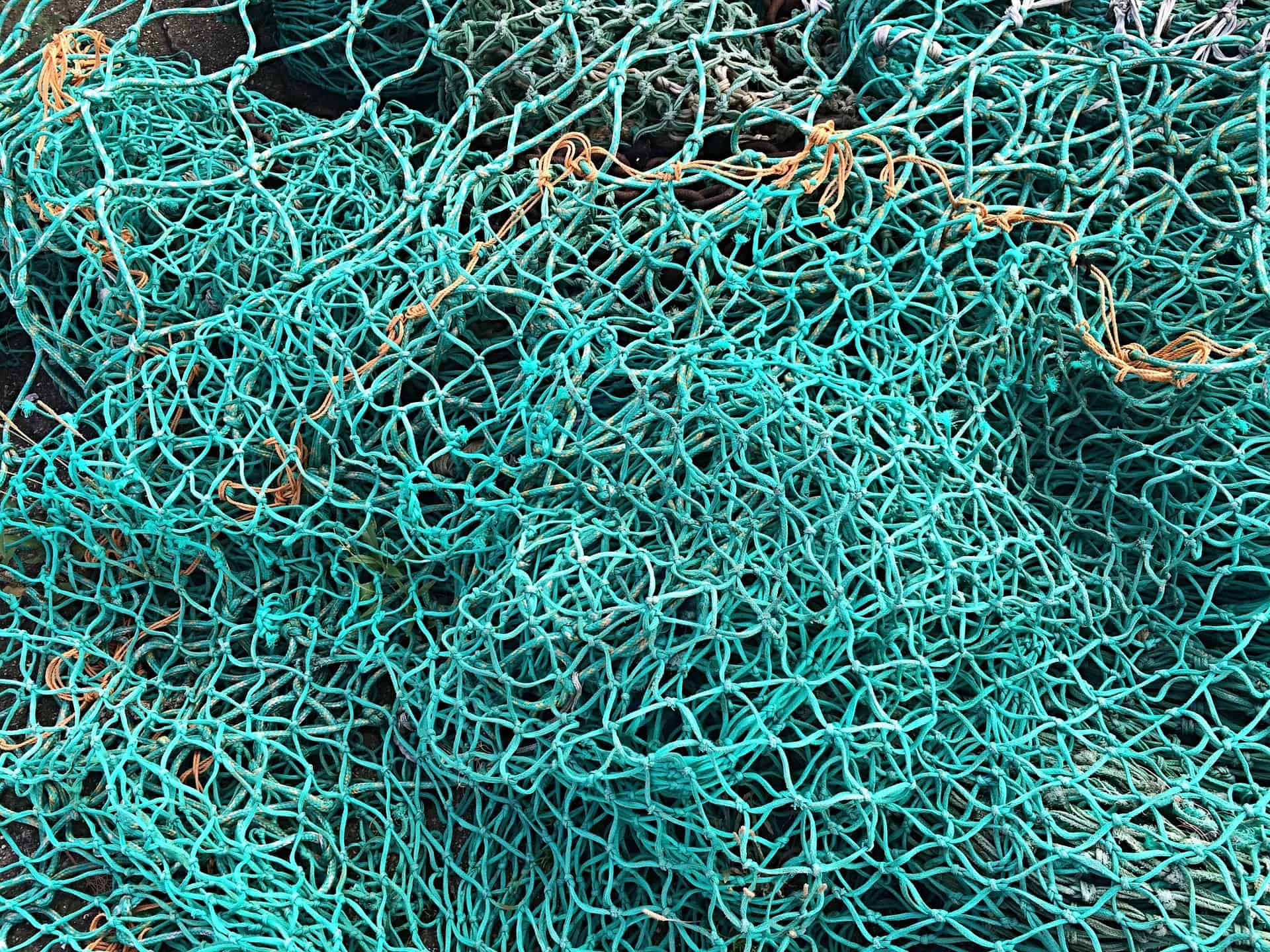 SINTEF partners with WNRI to find new ways to recycle marine plastics