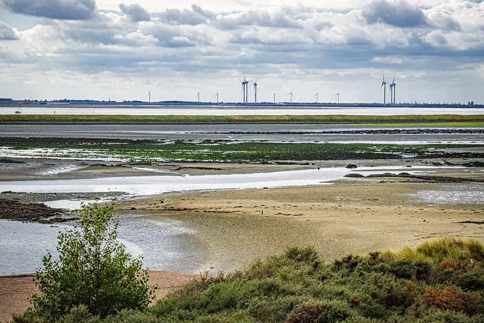16 million to keep the Dutch delta livable