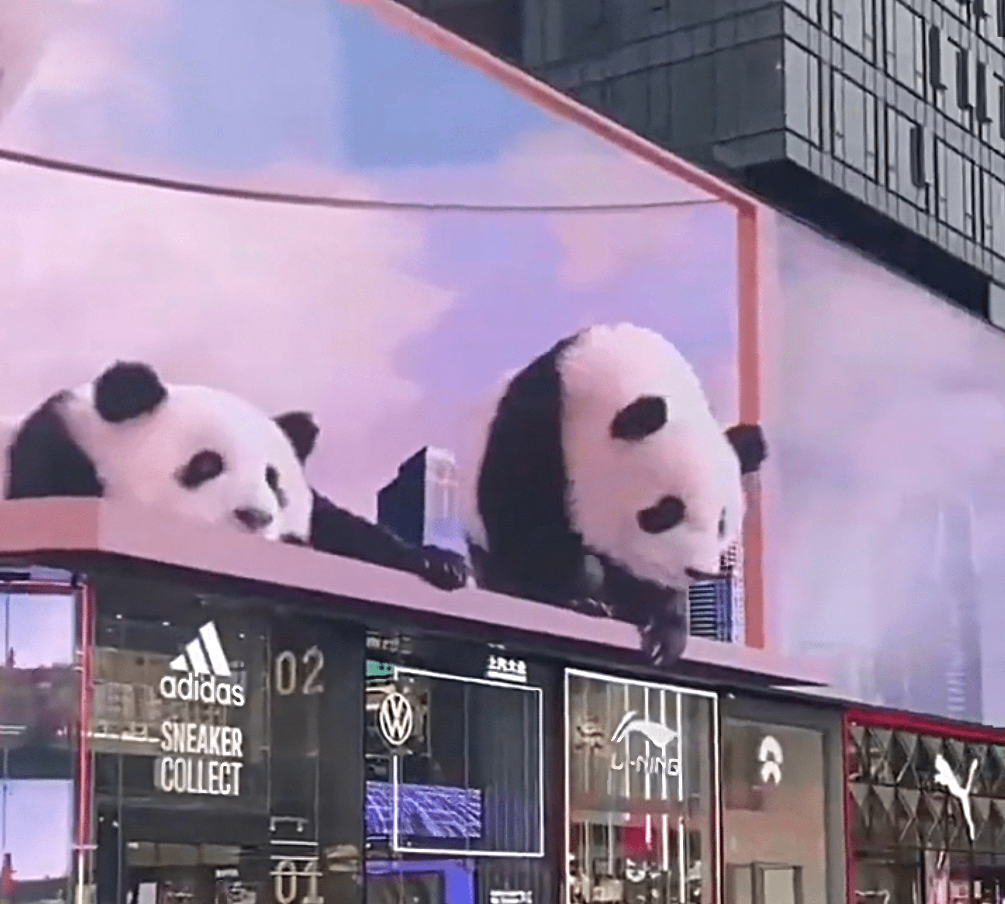 3D LED billboards with pandas