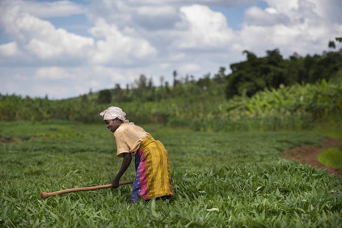 Rwanda farmer