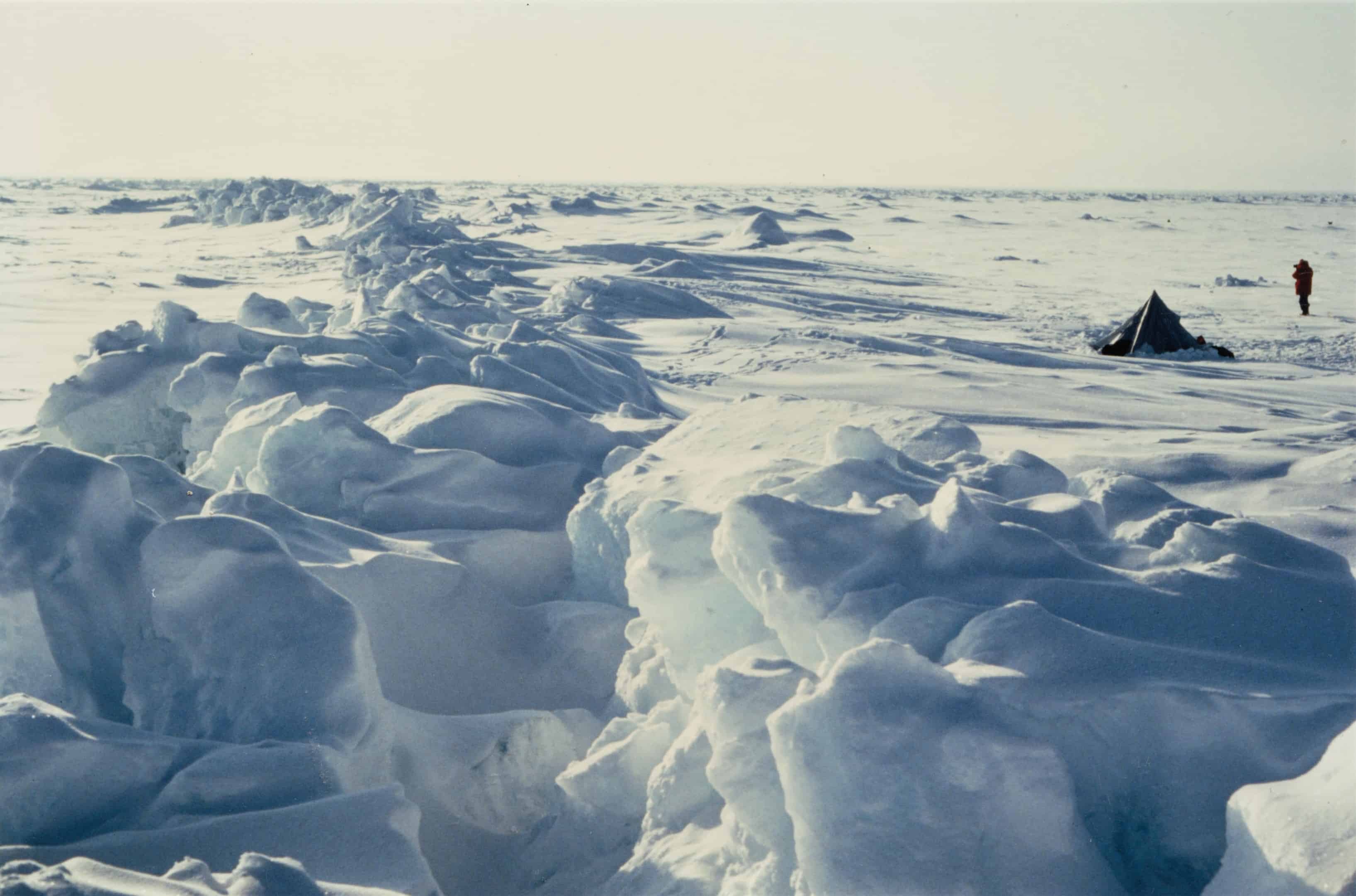 Arctic sea ice (source: Wikimedia Commons)
