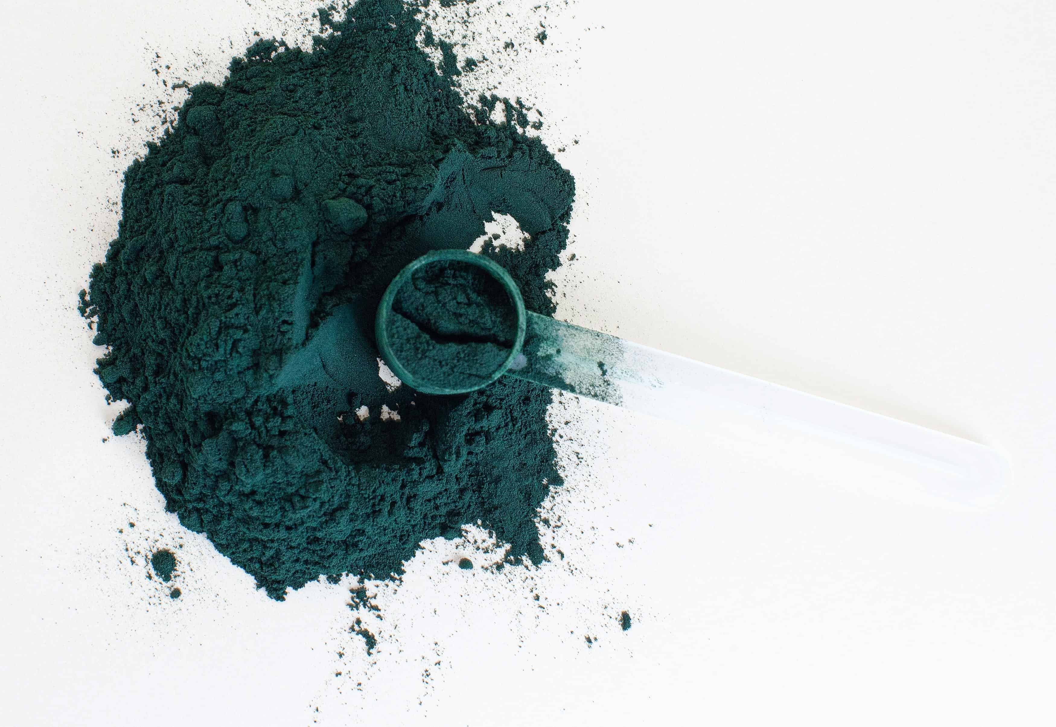 Protein-rich "Spirulina" might help Northern Europe overcome food insecurity
