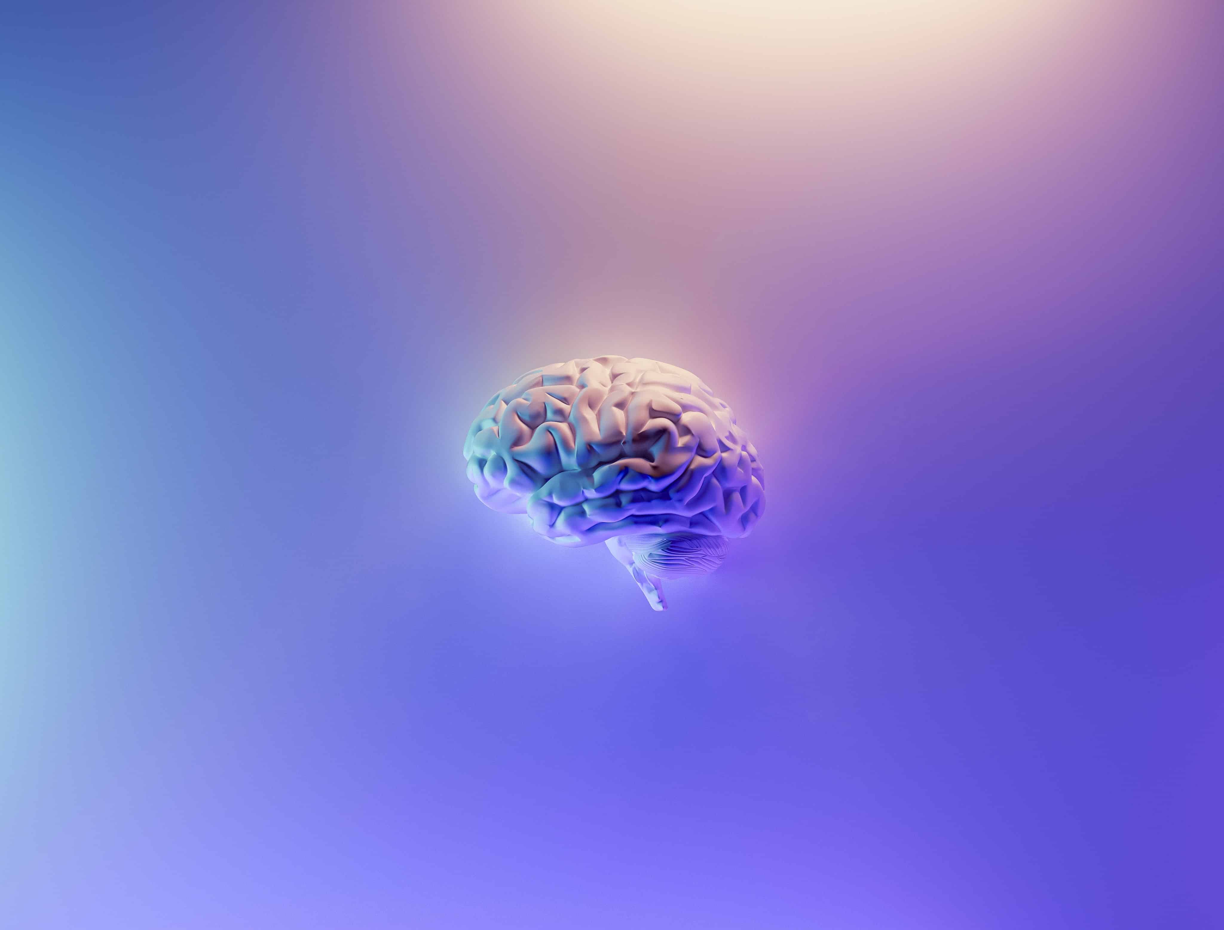 Computers werken in de toekomst op menselijke hersencellen
