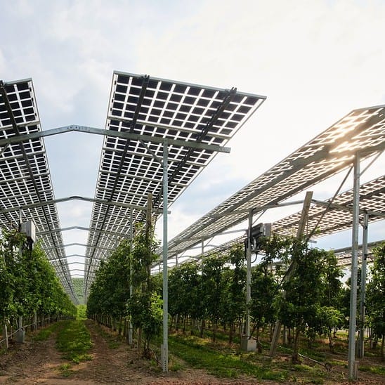 Powering The Fields: How Agrivoltaics Revolutionizes Farming And Solar ...