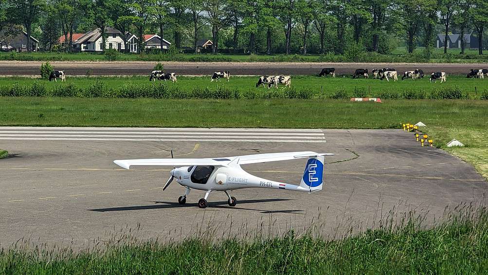 Pipistrel and cows, Teuge Airport, © IO