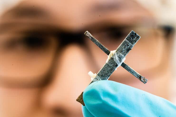 Fred Flintstone in 2023? Deze Zweedse wetenschappers bouwden 's werelds eerste houten transistor