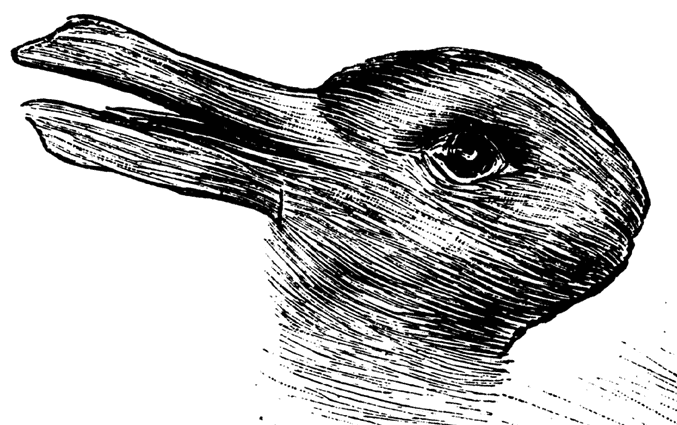 Duck or rabbit?