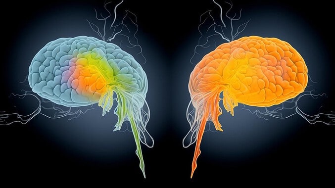 AI generated image of a entrepreneurial brain vs a managers brain.