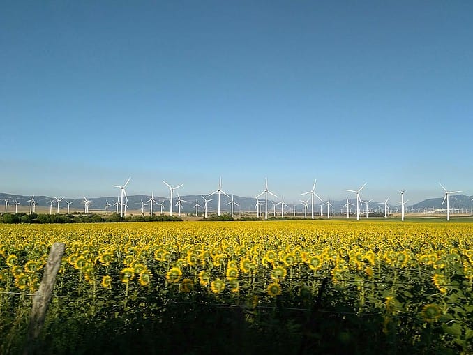 Sunflowers and wind turbines (illustration only)
