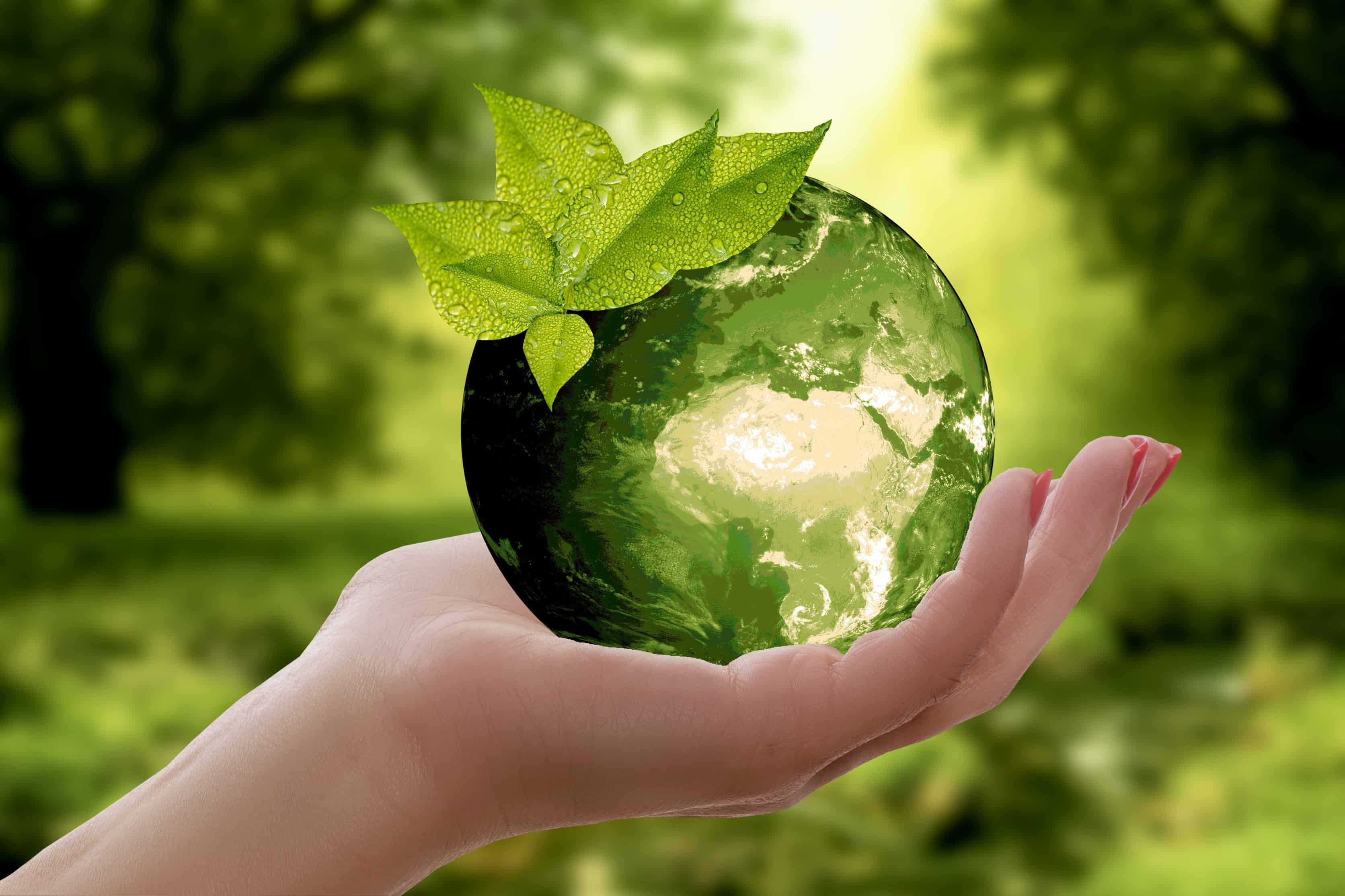 Sylvera raises 57 million, to make worldwide carbon market more transparant