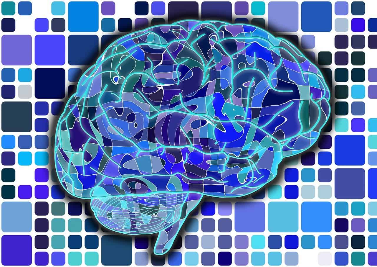 Nieuwe analyse van hersenen geeft beter inzicht in psychische aandoeningen 