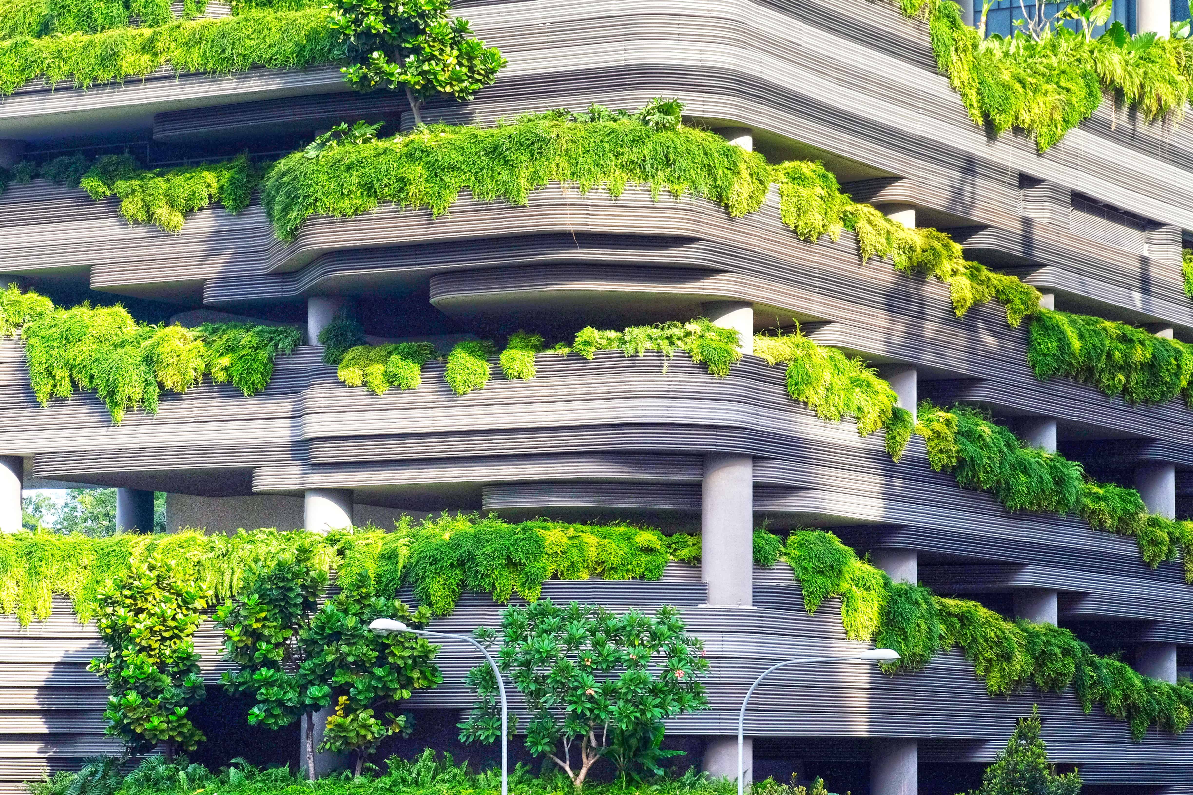 Algae batteries, green cities: These ambitious students shape a better tomorrow