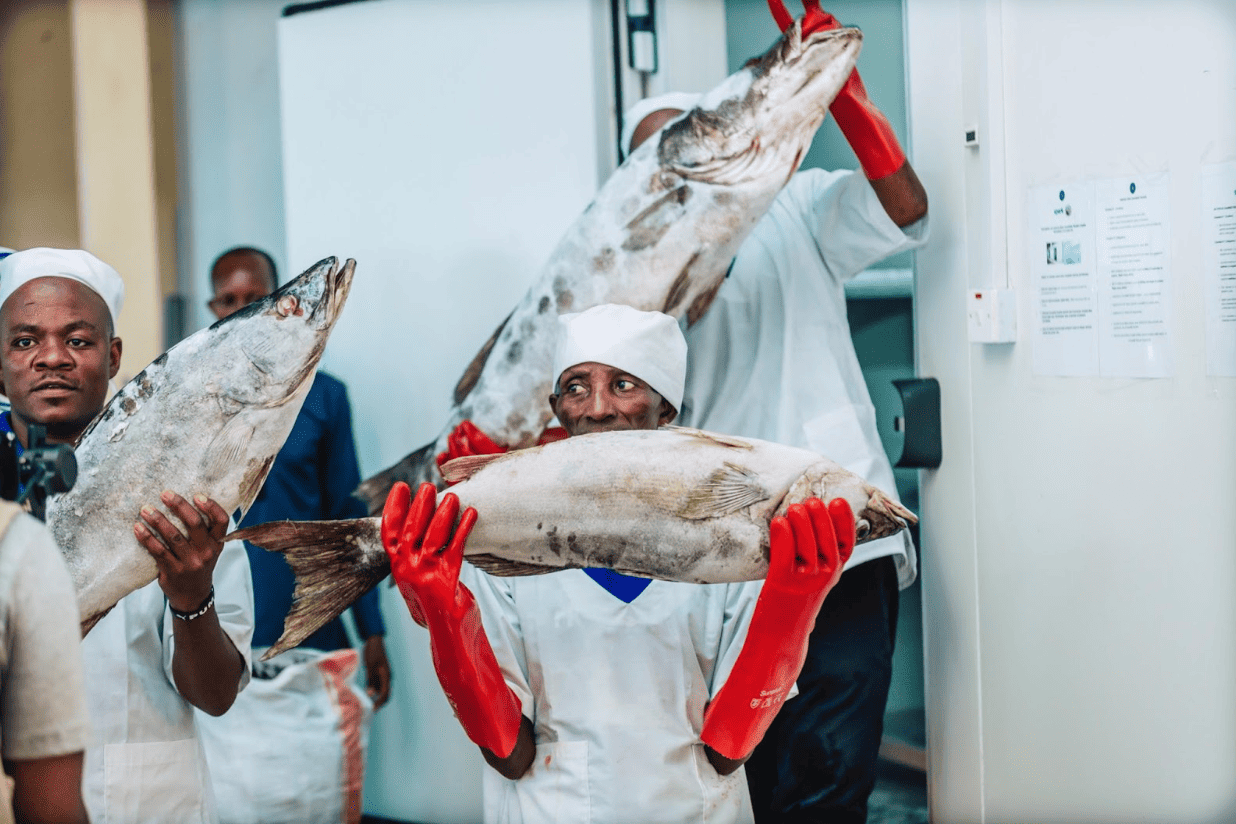 Nederland moderniseert visserijsector in Burundi