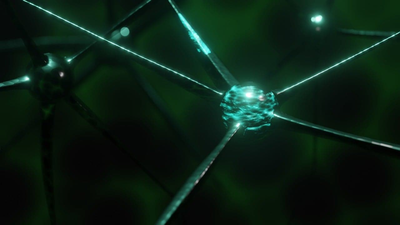 Diamond quantum sensors measure brain activity