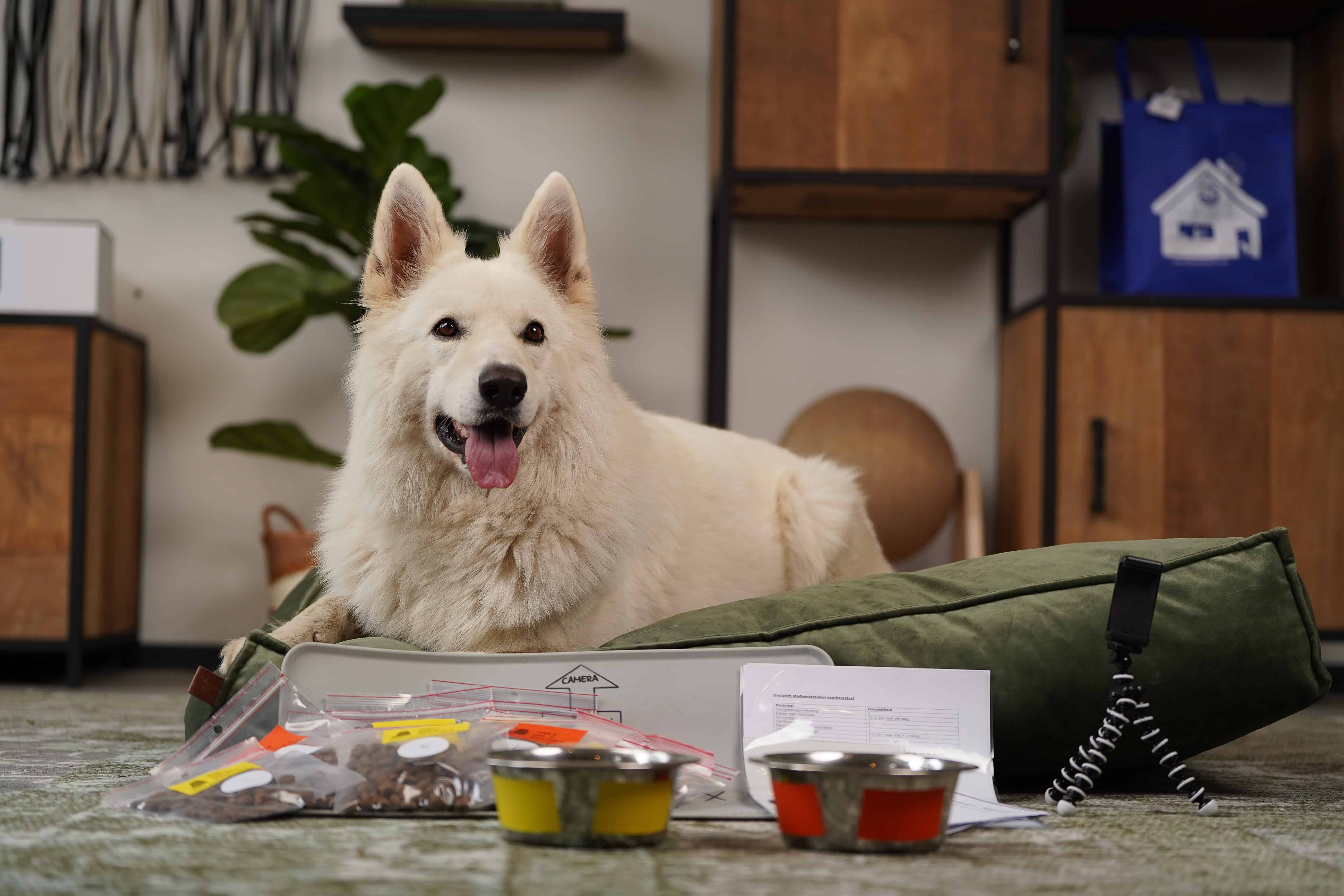 Our pets' nutrition can be greatly improved thanks to in-home testing