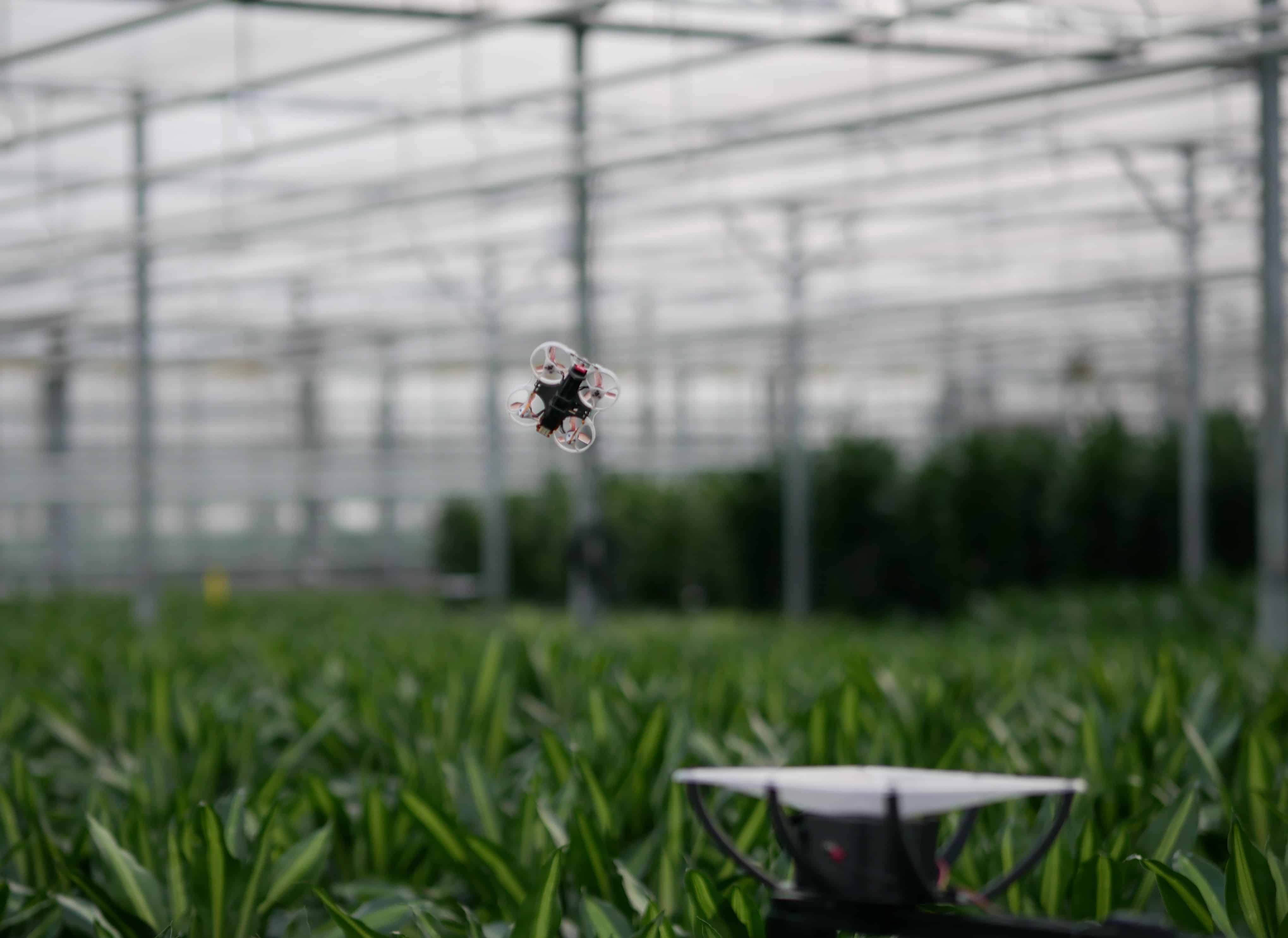 Cameras, sensors, and drones: this is how PATS is disrupting pest control in greenhouses