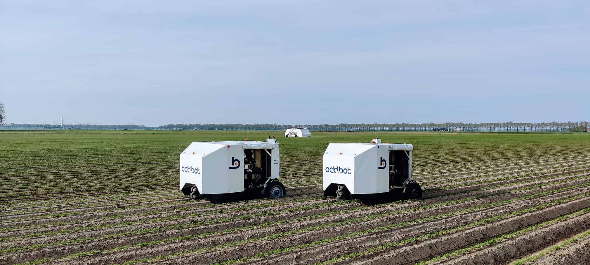 Robotic revolution in agriculture: spraying poison will soon be over, thanks in part to 5G