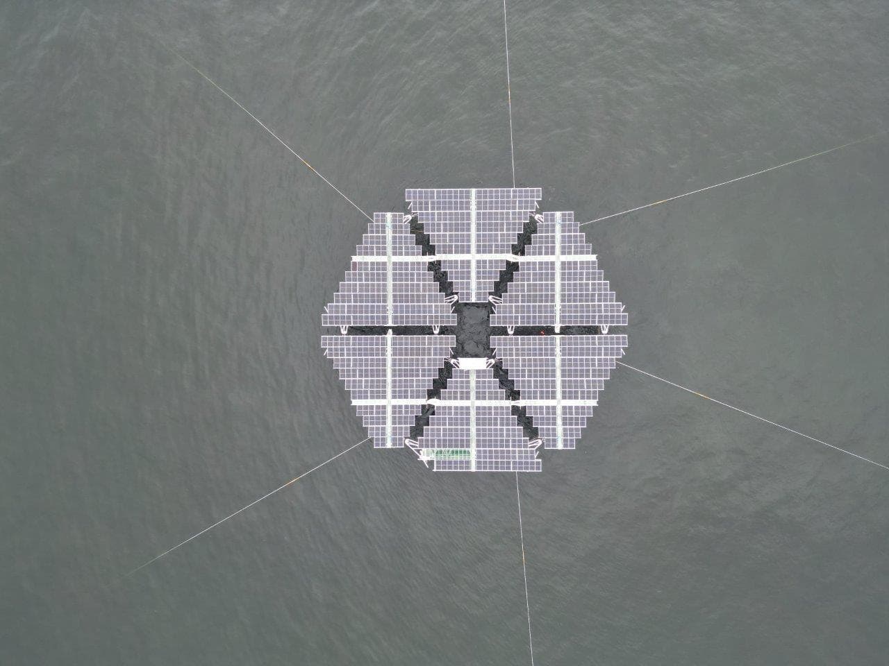 SolarDuck and RWE install floating solar farm off the Dutch coast